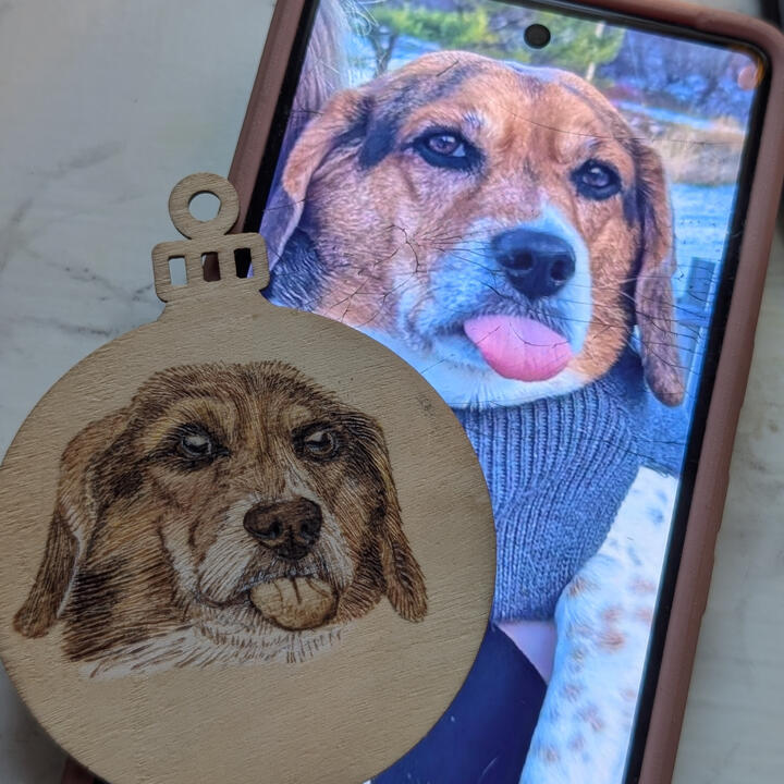 Beagle Blep